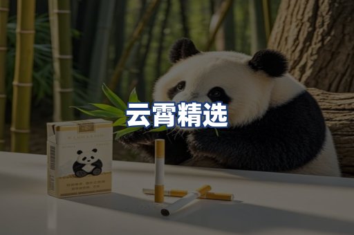 云霄精选